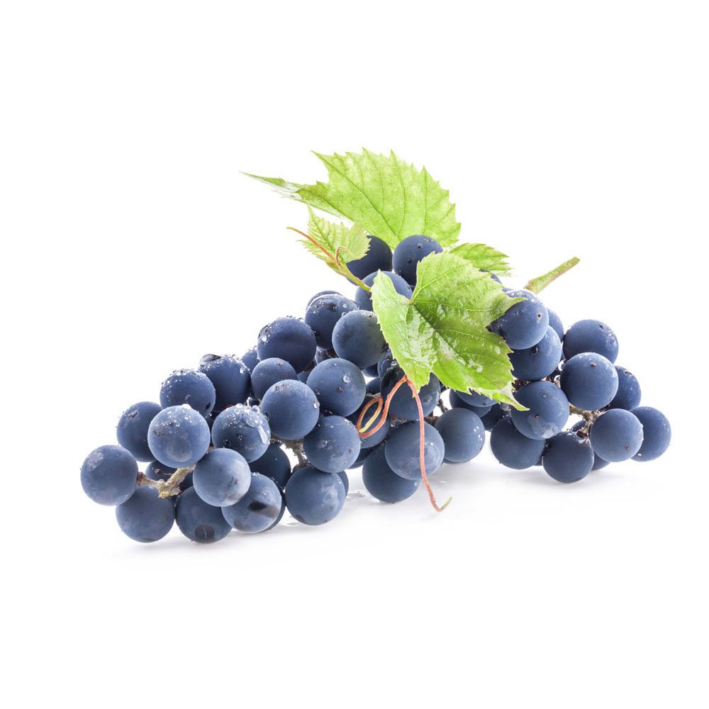 Nho đỏ không hạt ÚC