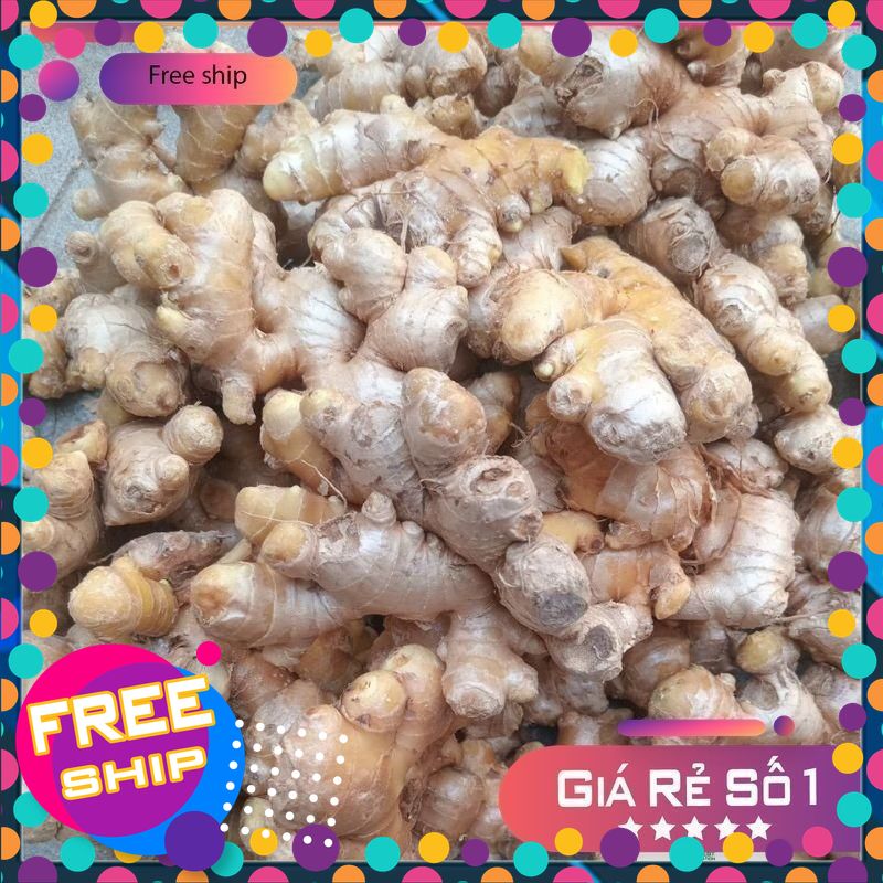 1 kg, 2kg gừng  tươi.gừng  sẻ gừng  ta vùng trung du Phú Thọ