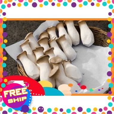 NÔNG SẢN SẠCH TRUNG DU] Nấm đùi gà (500gr), "Thịt thực vật" cho sức khỏe, thơm ngon, bổ dưỡng