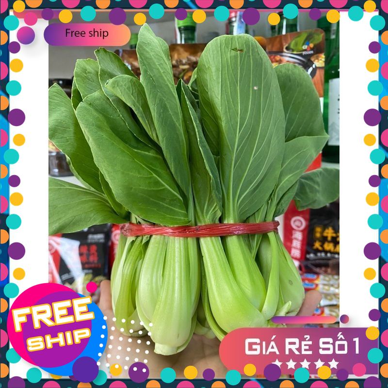 [CHỈ GIAO MIỀN BẮC] 500gr Cải chíp tươi ngon xào,nấu thả lẩu Siêu ngon ( NÔNG SẢN TƯƠI & NGON Vĩnh Phúc )