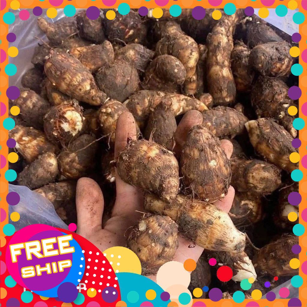 [VIETGRI - Tươi Sạch Và An Toàn]3kg Khoai Môn Củ Nhỏ [Giao HÀNG TOÀN QUỐC]