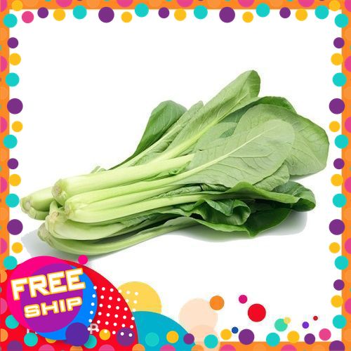 [VIETGRI - Tươi Sạch Và An Toàn] 500G, 1KG CẢI NGỌT MỚI HÁI [CHỈ GIAO ĐƯỢC MIỀN BÁC]