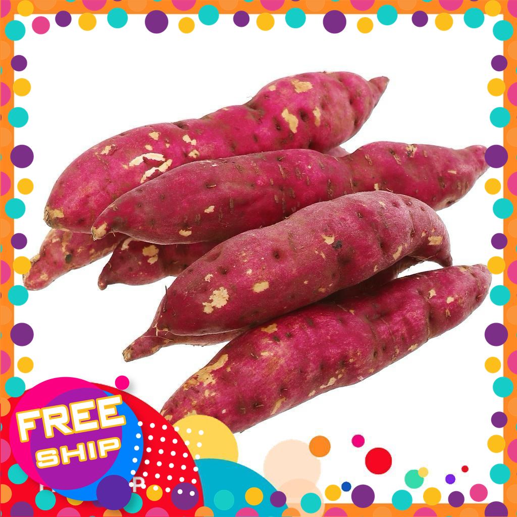 [Có Xuất VAT]1kg,3kg Khoai Lang Hoàng Long Ngày Xưa-thế hệ 7X 8X mới biết-mới rỡ nên Rất Bở Bánh Đỗ