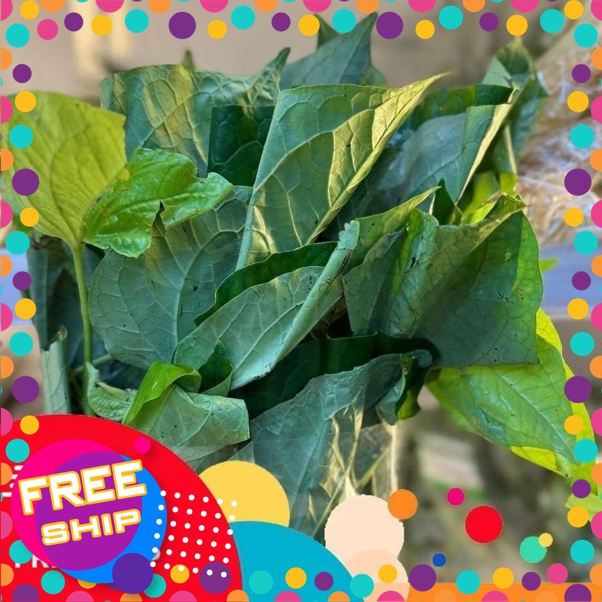 Lá Lốt Sạch Lâm Thao - Túi 100g, Nông Sản An Toàn, Lá Xanh Tươi, Thơm Nồng Tự Nhiên