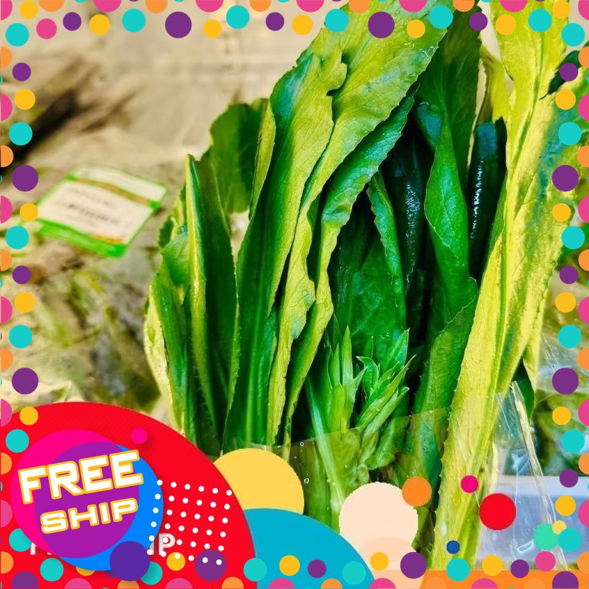 Rau Mùi Tàu (Ngò Gai) Sạch Trung Du Phú Thọ- Gói 50g, Lá Xanh Tươi, Hương Thơm Đậm Tự Nhiên