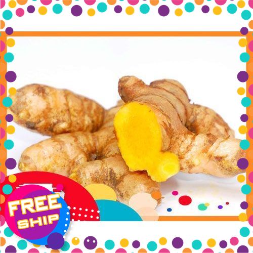 [NÔNG SẢN SẠCH TRUNG DU] 500g, 1kg Củ Nghệ Tươi