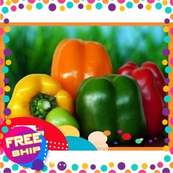 [NÔNG SẢN TRUNG DU] 500G, 1KG ỚT CHUÔNG TƯƠI NGON GIÒN NGỌT. ĐẠT CHUẨN ATTP