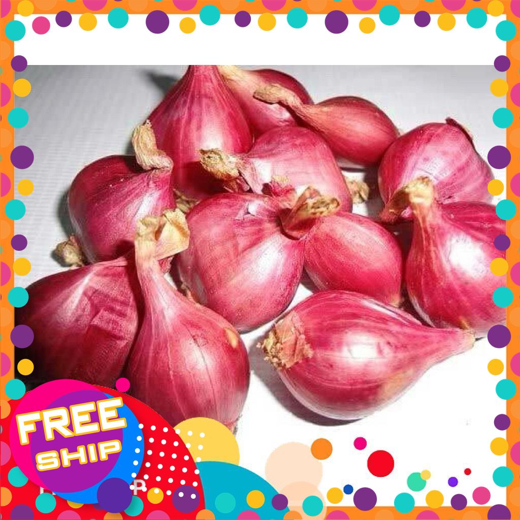 [NÔNG SẢN NHÀ QUÊ] 1.5KG Hành Tím Củ Tròn. MÓN NGON CHO BẾP VIỆT