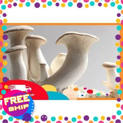 NÔNG SẢN SẠCH TRUNG DU] Nấm đùi gà (500gr), "Thịt thực vật" cho sức khỏe, thơm ngon, bổ dưỡng