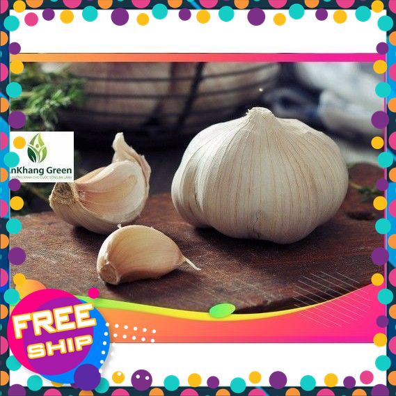 [TƯƠI & NGON] Đặc sản Phú Thọ. Tỏi trắng bông sen size đại - hàng tuyển chọn.