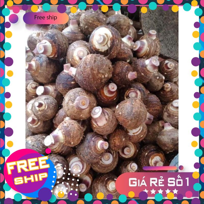 [COMBO 5kg ] khoai Sọ vùng quê Phú Thọ( khoai môn, khoai trứng, khoai bông) bở dẻo ngon thơm