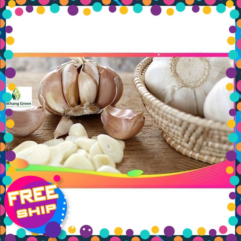 [NÔNG SẢN TƯƠI & NGON] Tỏi trắng bông sen -hàng loại to dễ bóc - thơm ngon
