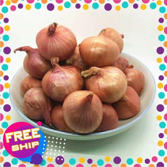 [NÔNG SẢN SẠCH TRUNG DU] 1KG, 3KG HÀNH INDONESIA SIZE ĐẠI ĐẶC BIỆT.CỦ TO CHẮC MẨY KHÔNG BỊ BỐP