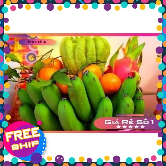 Hàng Tuyển Chọn CHUỐI XANH – TƯƠI GIÒN – NGON SẠCH – GIAO HÀNG MỖI NGÀY.