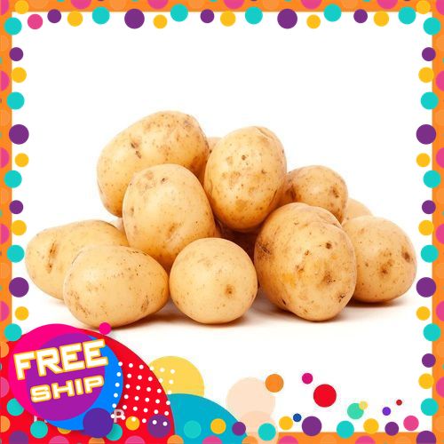 [VIETGRI - Tươi Sạch Và An Toàn] 1KG, 3KG Khoai Tây TRUNG DU PHÚ THỌ [Giao HÀNG TOÀN QUỐC]