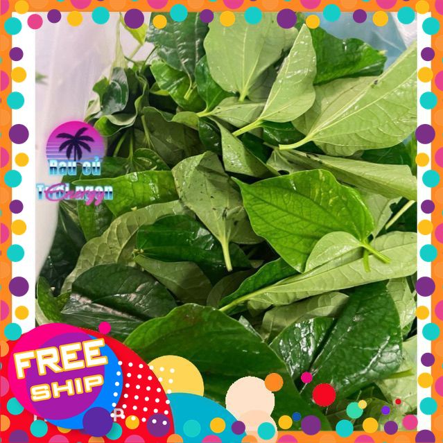 [NÔNG SẢN SẠCH TRUNG DU] 100gr, 300gr Lá Lốt. Như hình... [CHỈ Giao ĐƯỢC MIỀN BẮC]