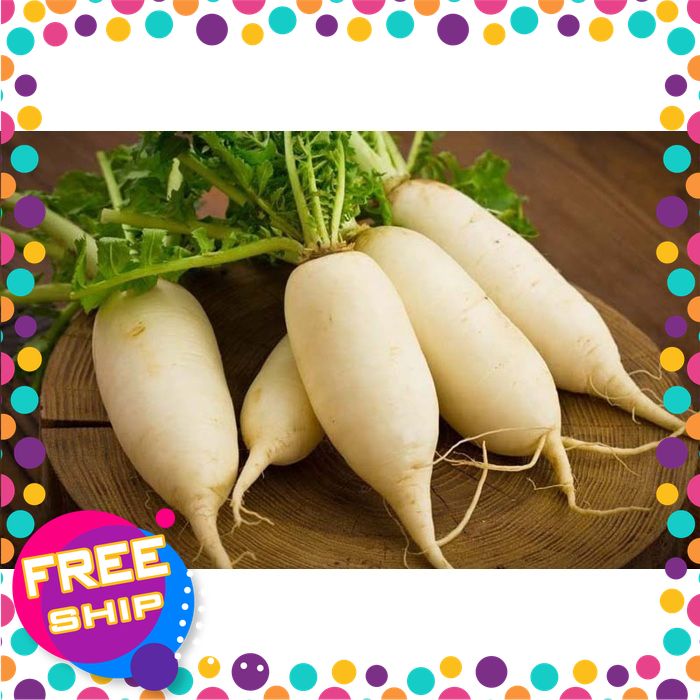 [VIETGRI - Tươi Sạch Và An Toàn] [Giao HÀNG TOÀN QUỐC] 500G, 1KG, Củ Cải Trắng có đơn mới nhổ