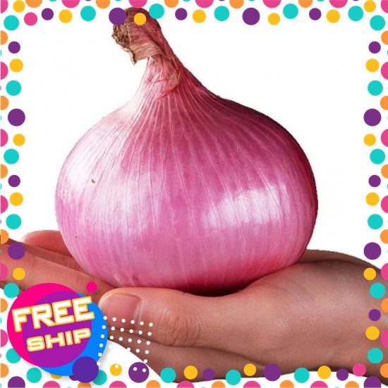 [VIETGRI-Tươi và ngon] 1kg,2kg Hành Tây Tím [Giao HÀNG TOÀN QUỐC]