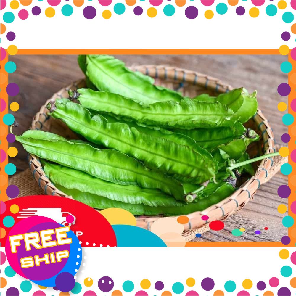 [Chỉ Giao Miền Bắc] 200g Đậu Rồng hay còn gọi là Đỗ Khế.Có Đơn Mới Hái nên Rất tươi ngon