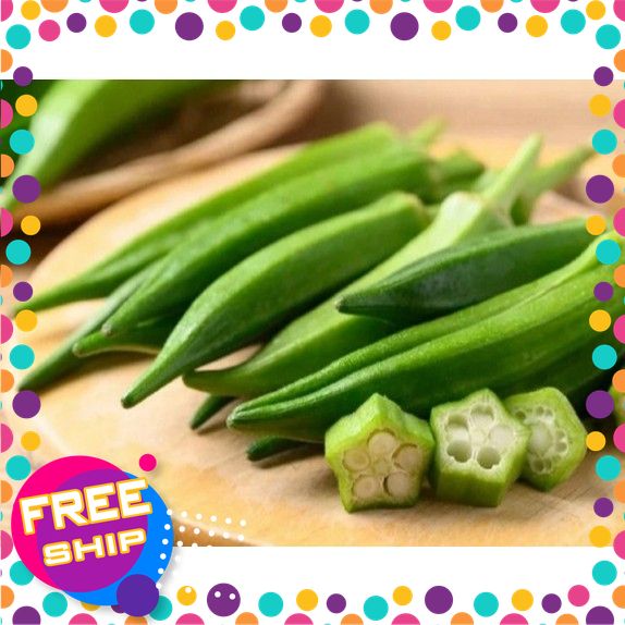 [VIETGRI-Tươi Sạch Và An Toàn] 1KG ĐẬU BẮP TRỒNG VÙNG RAU SẠCH ĐẤT BÃI SÔNG LÔ LẬP THẠCH VĨNH PHÚC