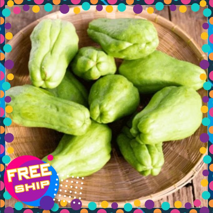 [NÔNG SẢN TƯƠI & NGON] Thùng3kg Quả Susu Sạch tươinon giònngọt.Đạt chứng nhận an toàn thực phẩm