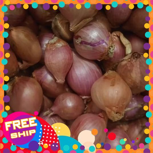 k[NÔNG SẢN SẠCH TRUNG DU] 1KG, 2KG HÀNH TÍM ẤN ĐỘ. MÓN NGON CHO BẾP VIỆT