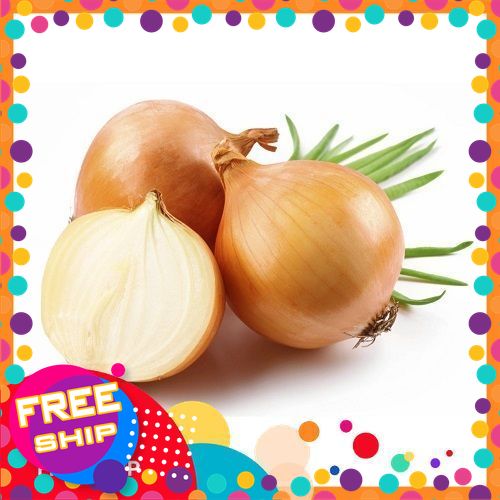 [VIETGRI - TƯƠI & NGON] 1KG,3KG,5KG Hành tây nguyên củ trắng. SẠCH, TƯƠI NGON GIÒN ĐẠT CHUẨN VSATTP