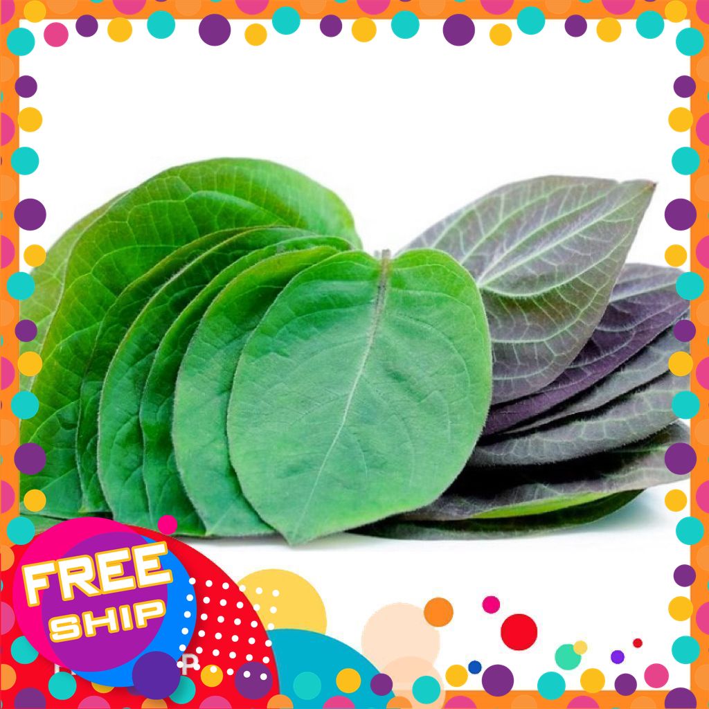 [NÔNG SẢN SẠCH TRUNG DU] 50g, 100gr, 200g Lá Mơ Lông/ Lá Mơ Tím [Giao Miền Bắc]