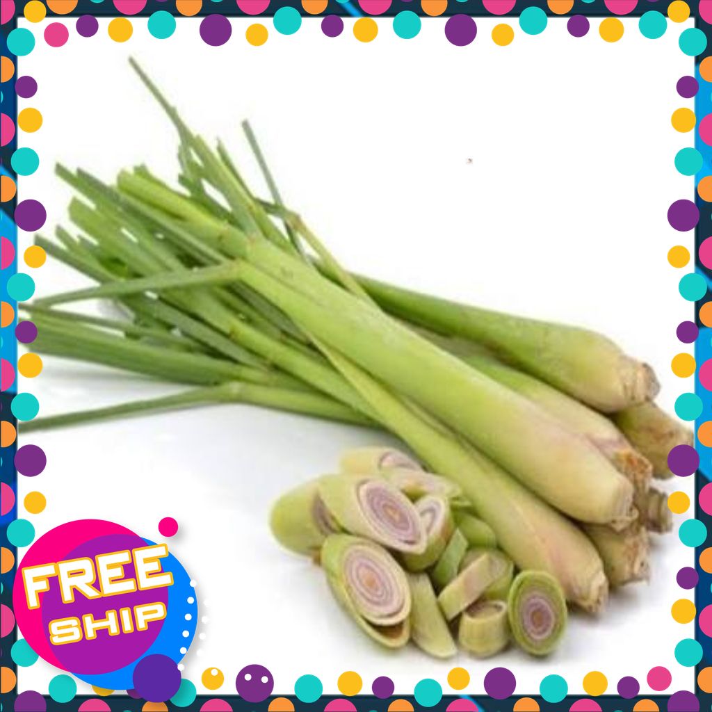 [NÔNG SẢN TƯƠI & NGON] 2KG.3KG.5KG CỎ XẢ TƯƠI.NHIỀU CÔNG DỤNG.DÙNG LÀM THỰC PHẨM.LÀM DẦU.LÀM HƯƠNG LIỆU