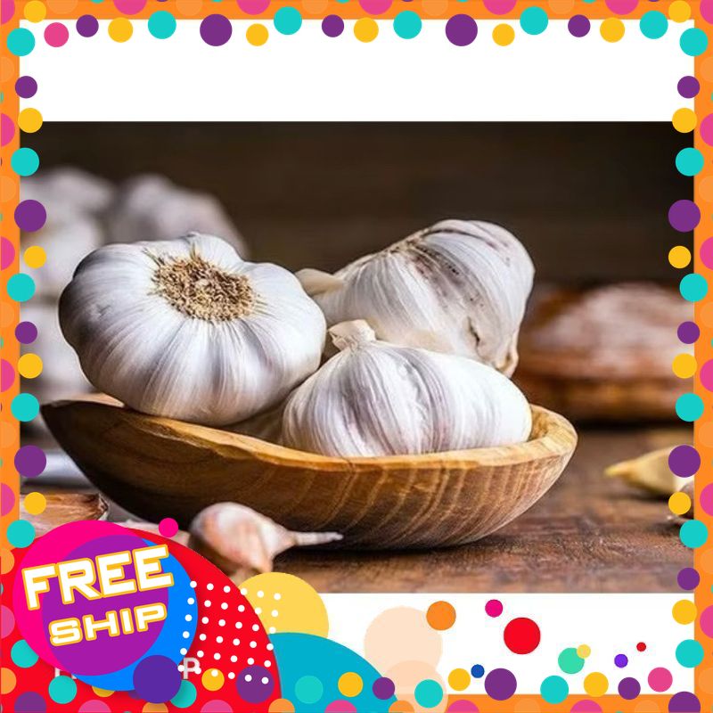 [VIETGRI- RAU CỦ TƯƠI NGON SẠCH TRUNG DU] 1kg tỏi Bắc, tỏi to trắng, tỏi thơm dễ bóc