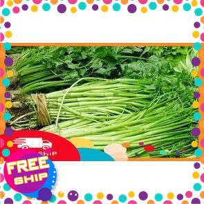 [CHỈ GIAO MIỀN BẮC]1 Bó Cần Nước KHOẢNG 500g, 1kg rau MỚI HÁI XANH GIÒN AN TOÀN KHÔNG THUỐC BVTV