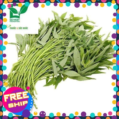 [Rau tươi] [Chỉ Giao Miền Bắc] Rau Lang 500g. do tính chất rau tươi hái tại ruộng nên chỉ