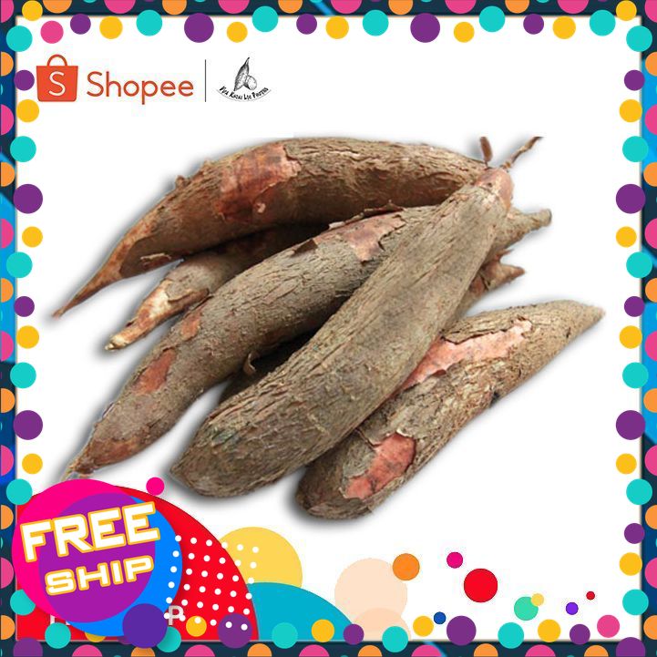 1-3-5kg Khoai Mì (Sắn) [GIAO TOÀN QUỐC & Hoả Tốc]- Mới thu hoạch, Bở tung, thơm nức