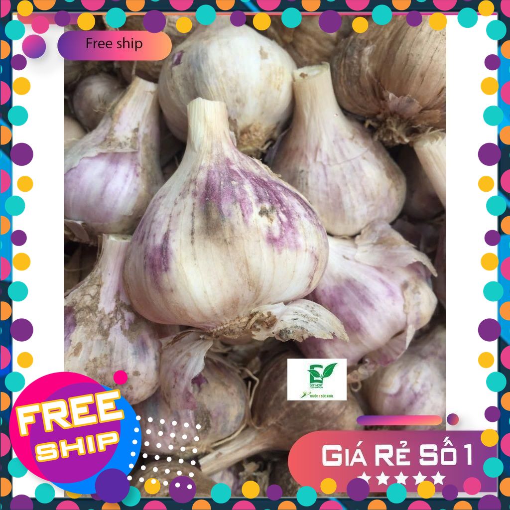 HÀNH -  TỎI TA TÍM  khÔ Trung Du Phú Thọ