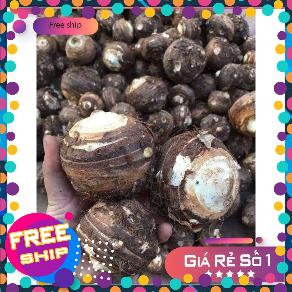 [NÔNG SẢN TƯƠI & NGON] Combo 3kg.5kg Khoai Sọ. Khoai Môn. Khoai TRứng củ Cái (to nhất khóm). Bở tung