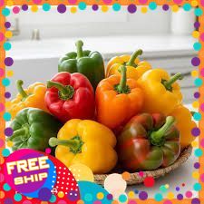 [NÔNG SẢN TRUNG DU] 500G, 1KG ỚT CHUÔNG TƯƠI NGON GIÒN NGỌT. TRỒNG VÙNG ĐẠT CHUẨN ATTP