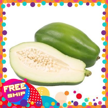 [NÔNG SẢN SẠCH TRUNG DU-CÓ XUẤT HÓA ĐƠN VAT] 500g Đu Đủ Xanh