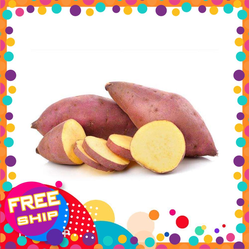 [xanhgri-nông sản sạch trung du]1kg Khoai Lang Mật Trồng Vùng đất Lập Thạch Vĩnh Phúc(Giao Toàn Quốc