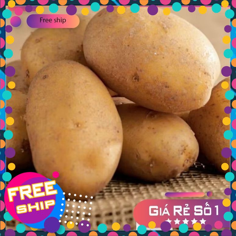[NÔNG SẢN TƯƠI & NGONGri] Combo 3kg khoai tây xạch mới thu hoạch ở trungdu VĩnhPhúc.lõi vàng loại to,bở tơi Siêungon
