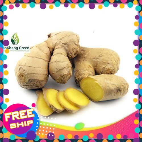 [TƯƠI & NGON] đặc sản vùng miền Củ gừng ta lai ruột vàng . gừng tươi Phú Thọ.