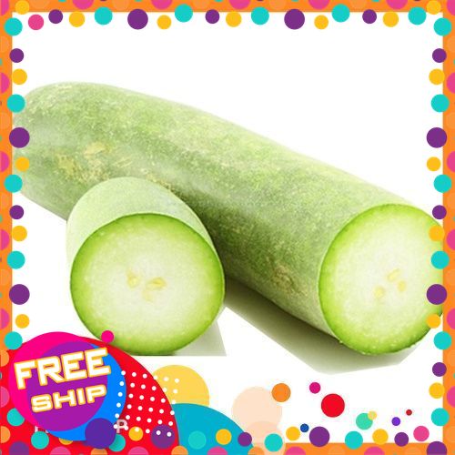 [Có Xuất VAT-Rau tươi] [Có Xuất VAT-Giao TOÀN QUỐC] Bí Xanh KHOẢNG 500g, 1KG, 2KG