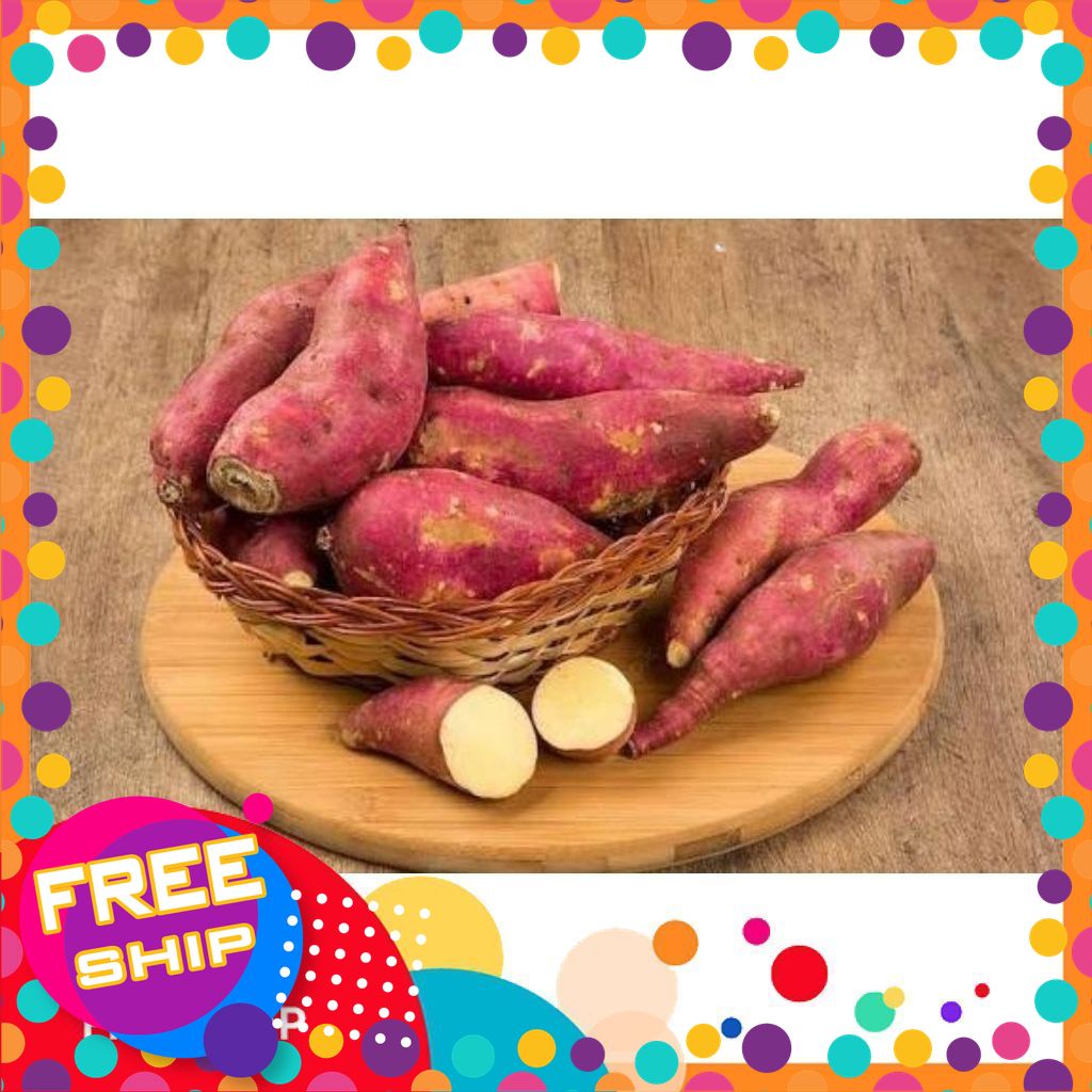 「xanhgri-Nông Sản Sạch Trung Du」combo 5kg khoai lang Hoàng Long Lập Thạch Size to 3-6 củ 1kg