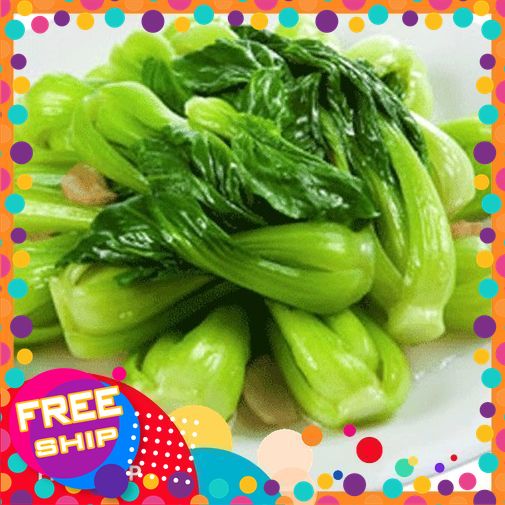 Cải chíp tươi ngon – Rau củ sạch an toàn – Giao hàng nhanh