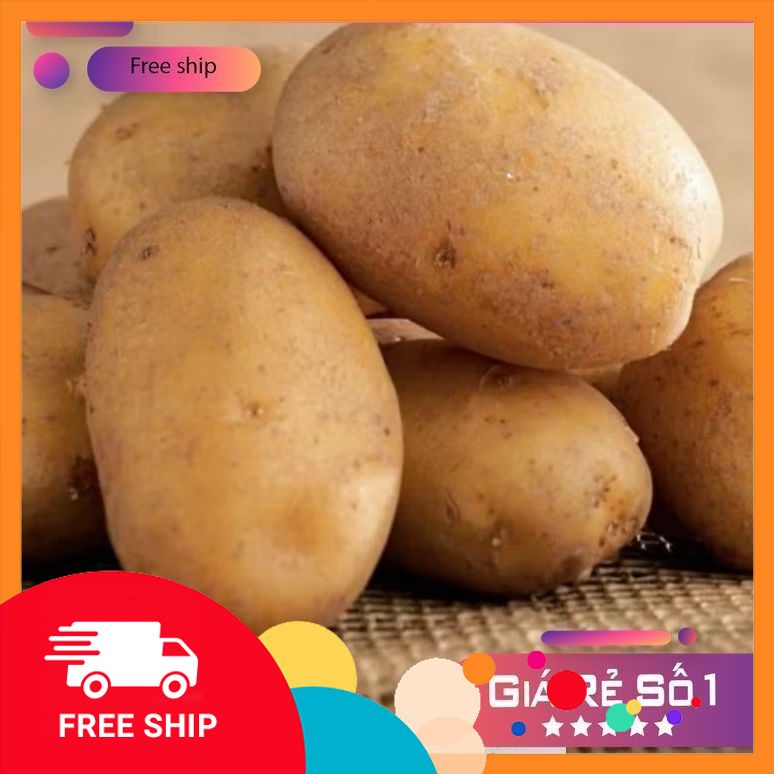 [NÔNG SẢN TƯƠI & NGONGri] Combo 3kg khoai tây xạch mới thu hoạch ở trungdu VĩnhPhúc.lõi vàng loại to,bở tơi Siêungon