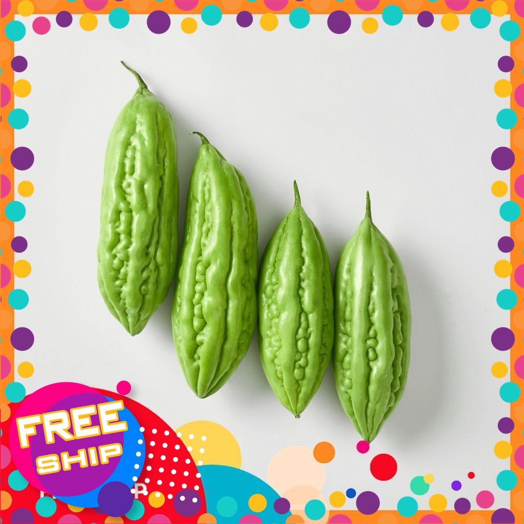 [NÔNG SẢN SẠCH PHÚ THỌ] 500gr - 100G khổ qua (mướp đắng) 4-6 trái.