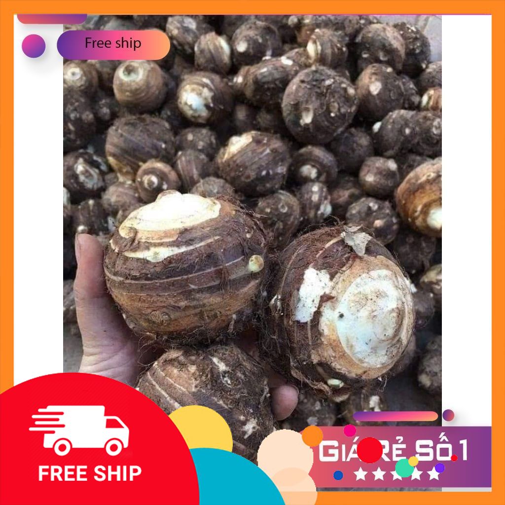 [NÔNG SẢN TƯƠI & NGON] Combo 3kg.5kg Khoai Sọ. Khoai Môn. Khoai TRứng củ Cái (to nhất khóm). Bở tung