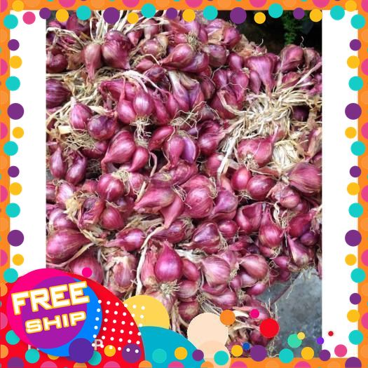 Hành tím Lý Sơn, vụ mới(cam kết chuẩn Lý Sơn, size nhỏ, xô,nhỏ và vừa , to và vừa), tỏi kinh môn to vừa, hành lý sơn mầm