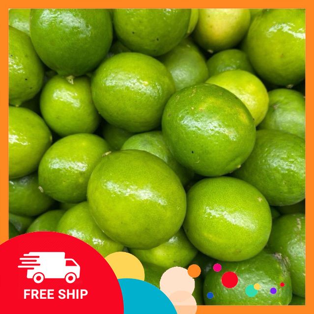 [NÔNG SẢN SẠCH TRUNG DU] 2kg Chanh Có Hạt. Hàng Lựa Nhiều Nước [Giao Toàn Quốc]