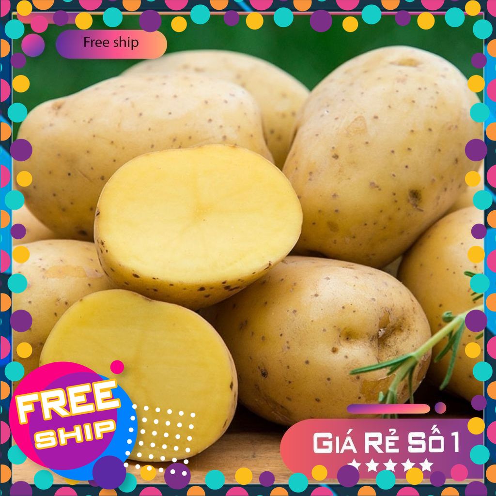 [TƯƠI & NGON] Combo 3kg khoai tây xạch mới thu hoạch ở vùng trung du Vĩnh Phúc. lõi vàng loại to,Siêu ngon
