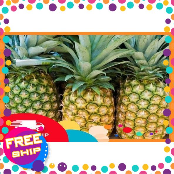 [NÔNGSẢNSẠCH TRUNGDU] 1 Quả Dứa Sạch Lâm Thao Nông Sản An Toàn,Thơm Ngon,Nguyên Liệu Nấu Ăn,Pha Chế